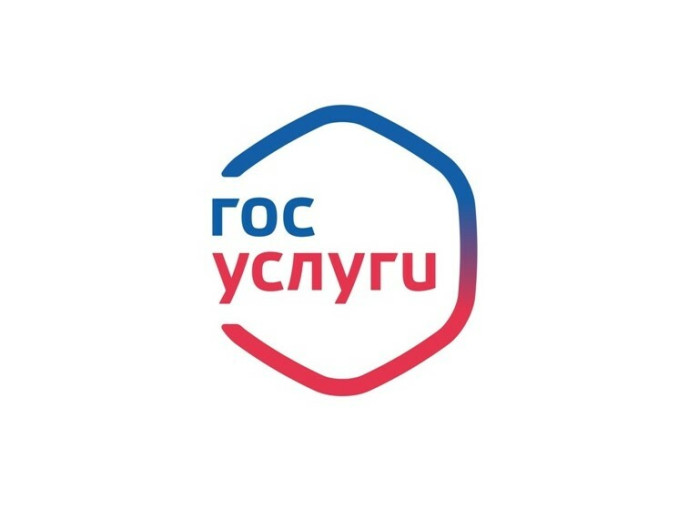 Предоставление муниципальных услуг через портал Госуслуг Предоставление муниципальных услуг через портал Госуслуг.